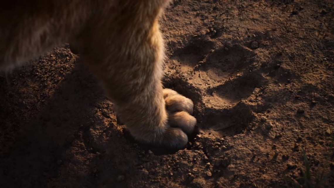 Il re Leone Impronta The Lion King footprint